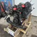 International VT365 Engine Assembly thumbnail 17