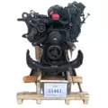 International VT365 Engine Assembly thumbnail 3