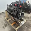 International VT365 Engine Assembly thumbnail 7