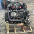 International VT365 Engine Assembly thumbnail 9