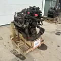 International VT365 Engine Assembly thumbnail 2