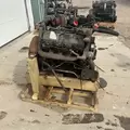 International VT365 Engine Assembly thumbnail 3