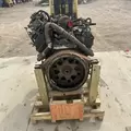 International VT365 Engine Assembly thumbnail 5