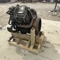 International VT365 Engine Assembly thumbnail 6