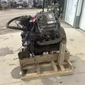 International VT365 Engine Assembly thumbnail 7