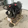 International VT365 Engine Assembly thumbnail 8