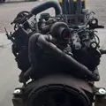 International VT365 Engine Assembly thumbnail 13