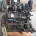 International VT365 Engine Assembly thumbnail 14