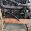 International VT365 Engine Assembly thumbnail 15
