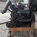 International VT365 Engine Assembly thumbnail 7