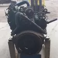 International VT365 Engine Assembly thumbnail 11