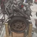 International VT365 Engine Assembly thumbnail 5