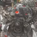 International VT365 Engine Assembly thumbnail 11