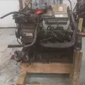 International VT365 Engine Assembly thumbnail 12
