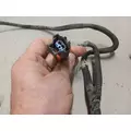 International VT365 Engine Wiring Harness thumbnail 4