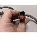 International VT365 Engine Wiring Harness thumbnail 5