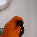International VT365 Fan Clutch thumbnail 4