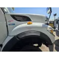 International WorkStar 7400 Hood thumbnail 3