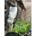 International WorkStar 7500 Battery Box thumbnail 7