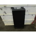 NTO Radiator INTERNATIONAL WorkStar for sale thumbnail