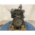 Isuzu 4BD2T Engine Assembly thumbnail 8