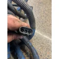 KENWORTH C500 Lamp Wiring Harness thumbnail 4