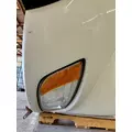 KENWORTH T400 Hood thumbnail 21