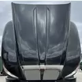 KENWORTH T660 Hood thumbnail 1