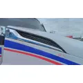 KENWORTH T680 AIR INTAKE LOUVERCOVER thumbnail 5
