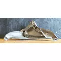 KENWORTH T680 Brackets, Misc. thumbnail 3