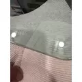 KENWORTH T680 Door Glass, Front thumbnail 4