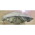 KENWORTH T680 Headlamp Assembly thumbnail 6