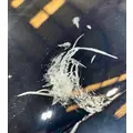 KENWORTH T680 Hood thumbnail 13