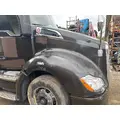 KENWORTH T680 Hood thumbnail 5