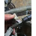KENWORTH T800 Engine Assembly thumbnail 11