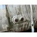 KENWORTH T800 Fuel Tank thumbnail 9