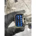 KENWORTH T800 Fuse Box thumbnail 11