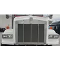 KENWORTH T800 Hood thumbnail 3