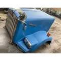 KENWORTH T800 Hood thumbnail 2