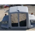 KENWORTH T800 Hood thumbnail 2