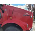 KENWORTH T800 Hood thumbnail 3
