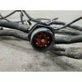 KENWORTH T800 Wiring Harness thumbnail 14