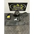 KENWORTH T880 Seat Belt thumbnail 1