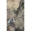 KENWORTH W900L Body Wiring Harness thumbnail 4