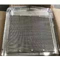 KENWORTH W900L Grille thumbnail 3