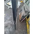 KENWORTH W900 Door Assembly, Front thumbnail 4