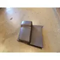 KENWORTH W900 Door Panel (Trim) thumbnail 1