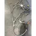 KENWORTH W900 Engine Wiring Harness thumbnail 5