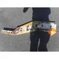 KENWORTH W900 FRAME HORN thumbnail 1