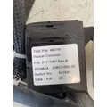 KENWORTH W900 Front Lamp (Turn Signal) thumbnail 6